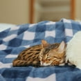 thumbnail image 2 of Plaid Soft Plush Fleece Blanket for Sofa Couch Bed, 30" x 40", Blue and White, 2 of 8