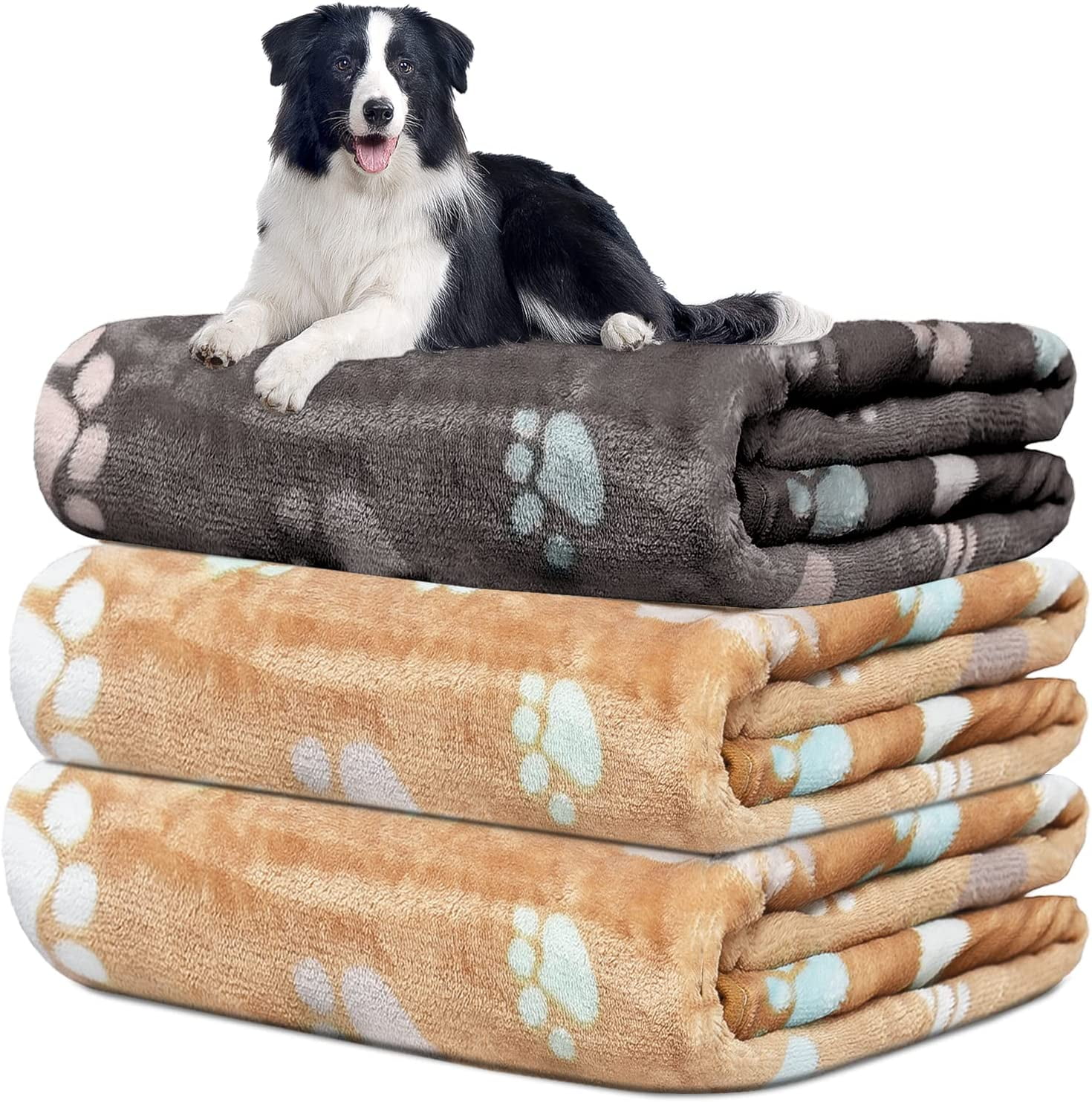 Why Do Dogs Paw At Blankets