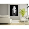 thumbnail image 2 of White Horse Face Photography Canvas Art, 2 of 4