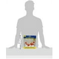 thumbnail image 3 of Basketball Dangler Value Pack, 3 of 4