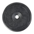 thumbnail image 2 of US Weight Duracast Weight Plates for 1-inch Diameter Bars – 2.5 kg, 2 of 3
