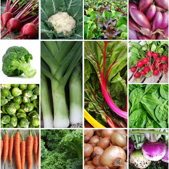 GSDWIUEW Thanksgiving Harvest Vegetable Seed Kit 14 Packets Beet, Broccoli, Brussel Sprouts, Carrot, Cauliflower Leek, Kale, Mesclun Mix, Onion, Radish, Spinach & More