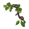 thumbnail image 2 of Decoración de ramas de árboles para trepar, decoración de ramas de reptiles, terrario, decoración de plantas, decoración de hábitat de terrario, hojas, 2 of 9