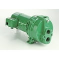thumbnail image 2 of Pentair Myers 1 hp 18 gpm Cast Iron Convertible Jet Pump, 2 of 3