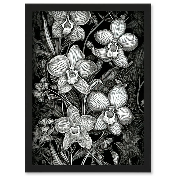 White on Black Blooming Orchid Flower Plants Artwork Framed Wall Art Print A4