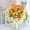 F, variant on Crochet Sunflower Bouquet,Hand Woven Wool Bouquets,Crochet Flower Kit Knitted Fake Sunflower Daisy,Handwoven Artificial Flowers Home Decor Gifts,for Mother Wife on Birthday Anniversary