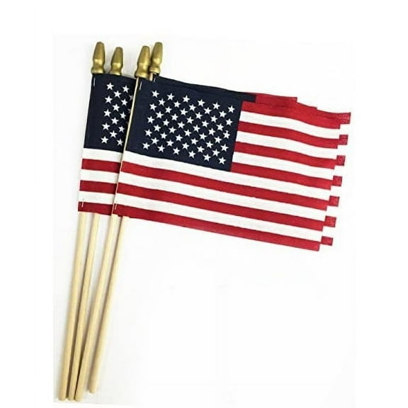 GIFTEXPRESS 8 x 12 Inch Spearhead Handheld American Stick Flags/Grave Marker American Flags USA Stick Flag (12pcs)