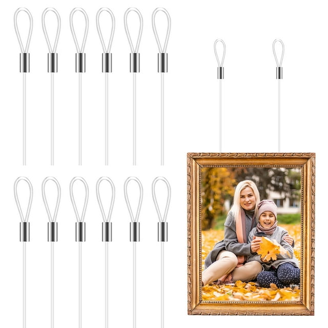 Miangastore 12pcs Picture Hanging Wire Picture Frame Invisible Wire Loop Cord Picture Rail Clear Nylon For Hanging Picture