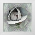 thumbnail image 1 of Studio Nine6 26x26 White Modern Wood Framed Museum Art Print Titled - Cabbages A, 1 of 4