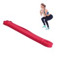 thumbnail image 1 of Amdohai Resistance Loop Band Natural Latex Pull Up Assist Band Home Gym Fitness Yoga Strength Training Elastic Exercise Workout Band, 1 of 7