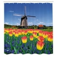 thumbnail image 3 of Ambesonne Flower Shower Curtain, Blooming Tulip Windmill, 69"Wx84"L, Yellow Blue, 3 of 5