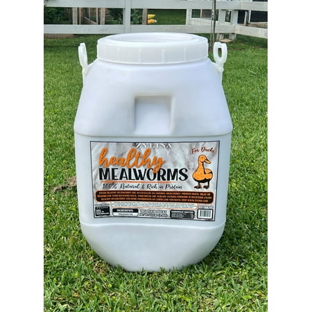 Zylina Healthy Mealworm for Ducks - 20 LB Bucket