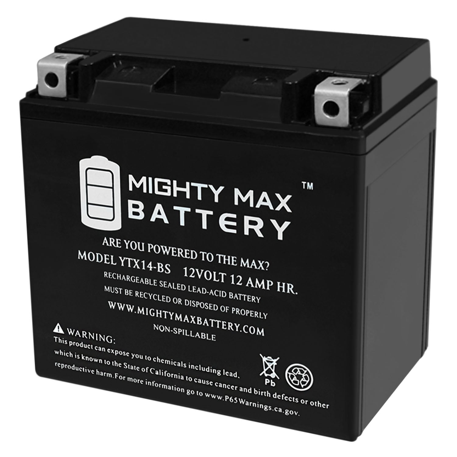 Mighty Max Battery YTX14-BS Gel Battery Replacement for Honda Pioneer 1000 16-18 Brand Product 