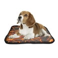 thumbnail image 2 of PKQWTM Lava Fire Pet Dog Cat Bed Pee Pads Mat Cushion Potty Dogsblankets Crate Bed Kennel 25x30 inch, 2 of 3