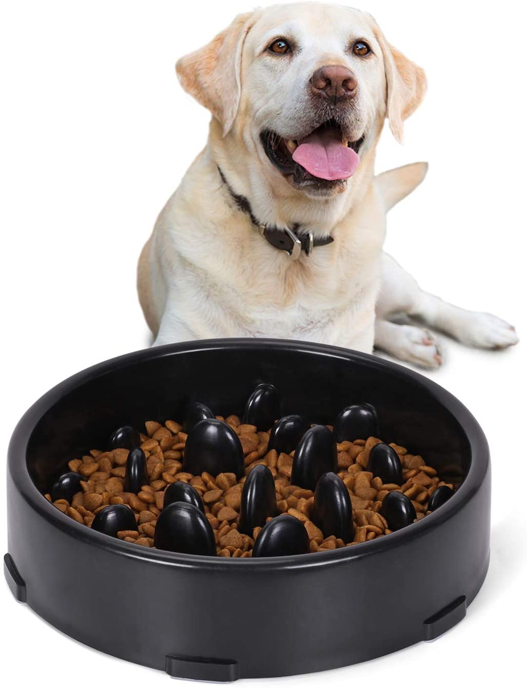 black slow feeder dog bowl