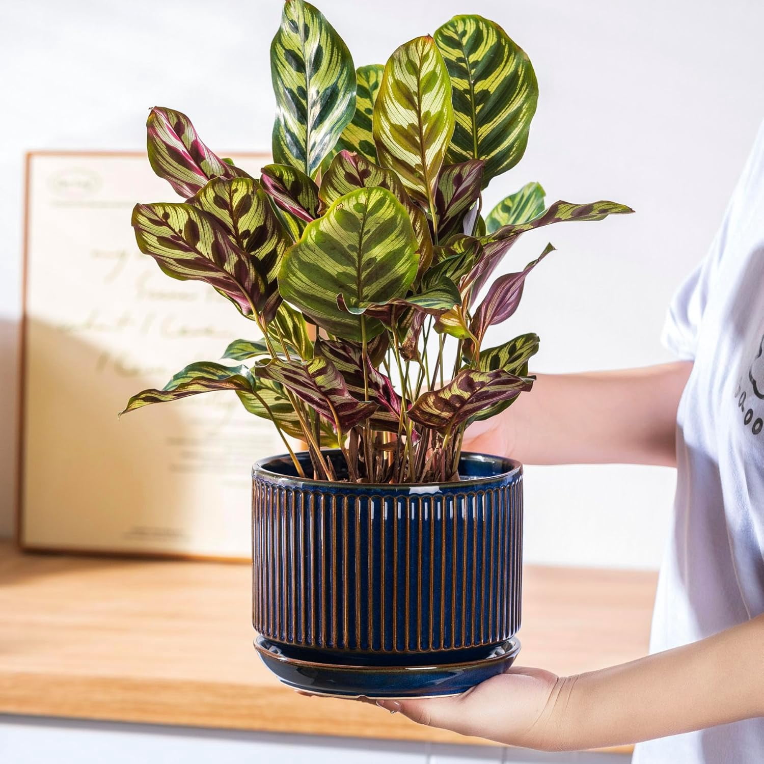 Speckle Gray Ceramic Plant Pot Set of 3 with Saucers, 4.3-6.7 Inch Indoor Flower Pots with Drainage Holes and Pads, Decorative Striped Planter Set for House Plants and Gardening