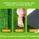 thumbnail image 4 of Almohadilla de entrenamiento para cachorros con césped artificial | Tapete reutilizable para orinar para perros, para interior y exterior, con orificios de drenaje | Césped artificial fácil de, 4 of 5