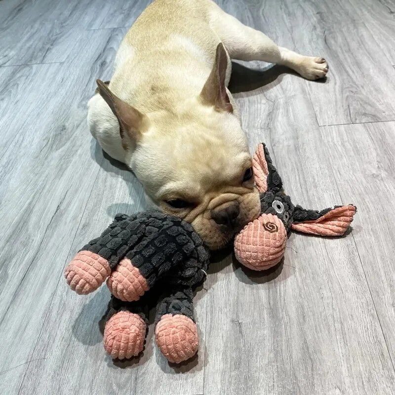 New dog toys hot sale