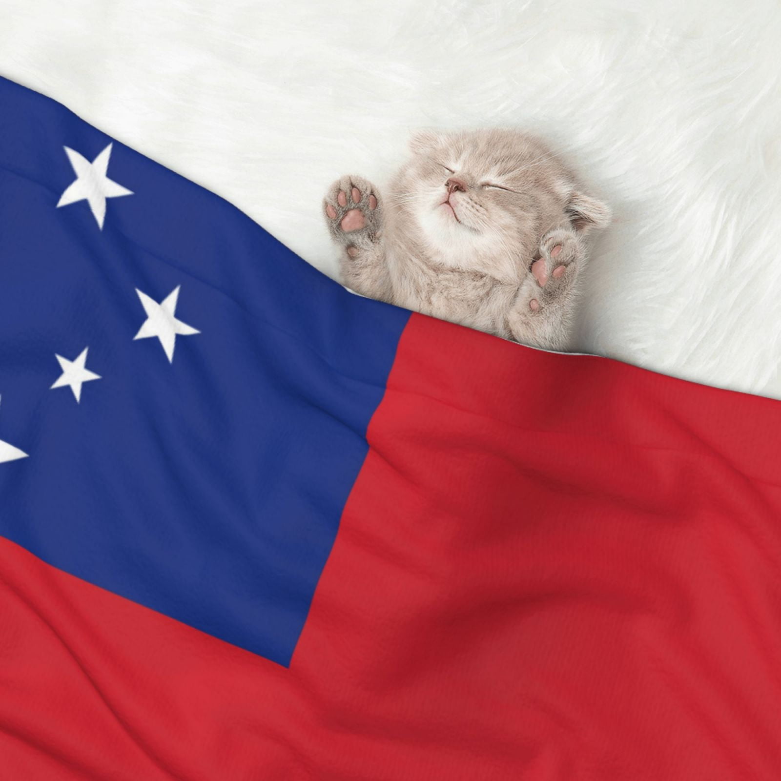 Flannel Throw Dog Blanket Samoan Flag Soft Warm Print Pet Blankets for Small Dog Cat Puppy