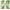 Green, variant on Green Outdoor Pillow Covers Leaf Plant Throw Pillow Case Outdoor Waterproof Tropical Garden Cushions 18x18 Inch Set of 4 Patio Furniture Pillows Decorative for Home Sofa Couch