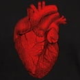 thumbnail image 3 of CafePress - Vintage Anatomical Human Heart Dark T Shirt - Men's Classic Graphic Cotton T-Shirt, 3 of 4