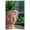 Brown Garden Outdoor Cement, variant on Cement Bust Wall Planter - Indoor Outdoor Home Garden Decor, 8" x 9" x 11.5"