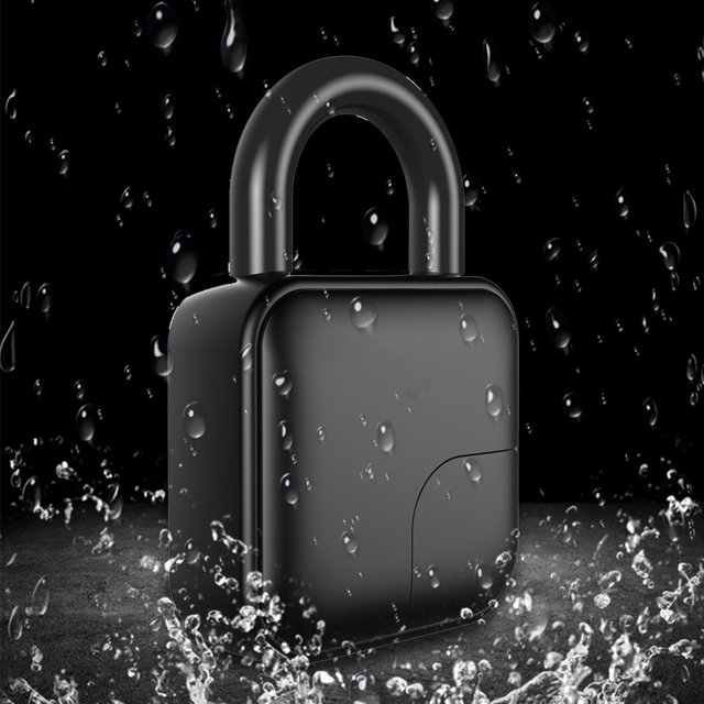 Anti-theft Electronic Lock Fingerprint , For Dormitory Access Control