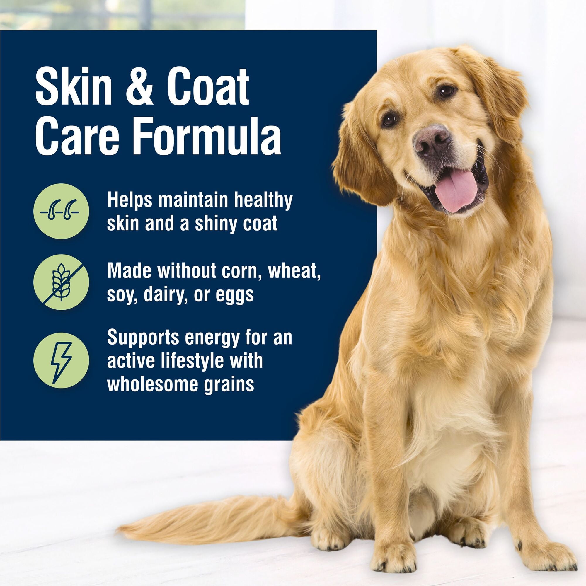 (12 pack) Blue Buffalo True Solutions Skin & Coat Care Wet Dog Food, 12.5-oz. Can