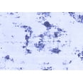 thumbnail image 1 of Ahgly Company Indoor Rectangle Abstract Blue Modern Area Rugs, 7' x 9', 1 of 4