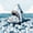 Shark 02, variant on Feelyou Storm Lighthouse Shark Sea Bed Sheets for Men Boys, Boat Nautical Marine Wildlife King Sheets, Black Blue, 4pcs