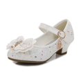 thumbnail image 1 of Zapatos de princesa de tacón alto para niñas, zapatos de primavera y otoño para niños, zapatos para niñas, zapatos de cristal para niñas, 1 of 6