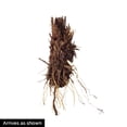 thumbnail image 4 of Gusto Japanese Iris Dormant Bare Root Perennial Plant, 1-Pack, 4 of 4