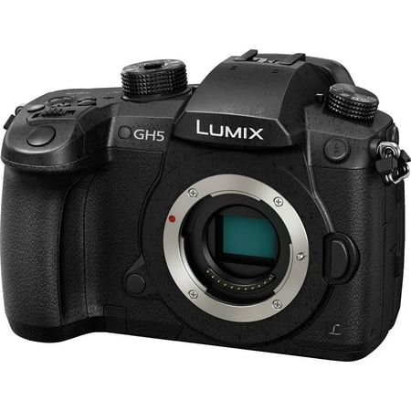 Panasonic Lumix DC-GH5 Wi-Fi 4K Digital Camera (Best Panasonic Camera Under 200)