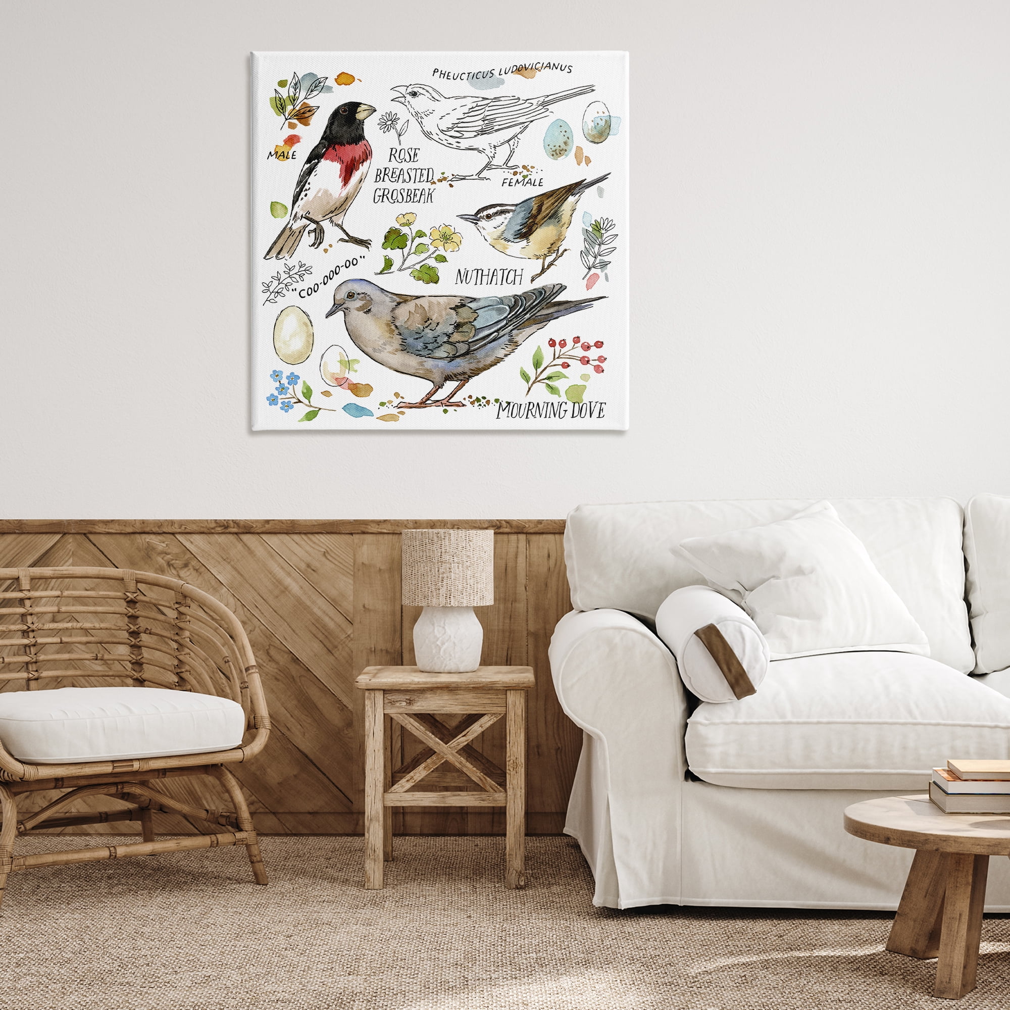 Stupell Industries Bird Watching Diagram Animals Painting Wrapped Canvas Art Print Wall Art, 36 x 36