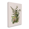 thumbnail image 3 of Botanical Nature Mushroom Sprigs Botanical & Floral Graphic Art Gallery Wrapped Canvas Print Wall Art, 3 of 7