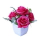 thumbnail image 5 of Planta en maceta Wosthever Seda artificial Bonsái de flores Rosa roja 2Conjunto, 5 of 6