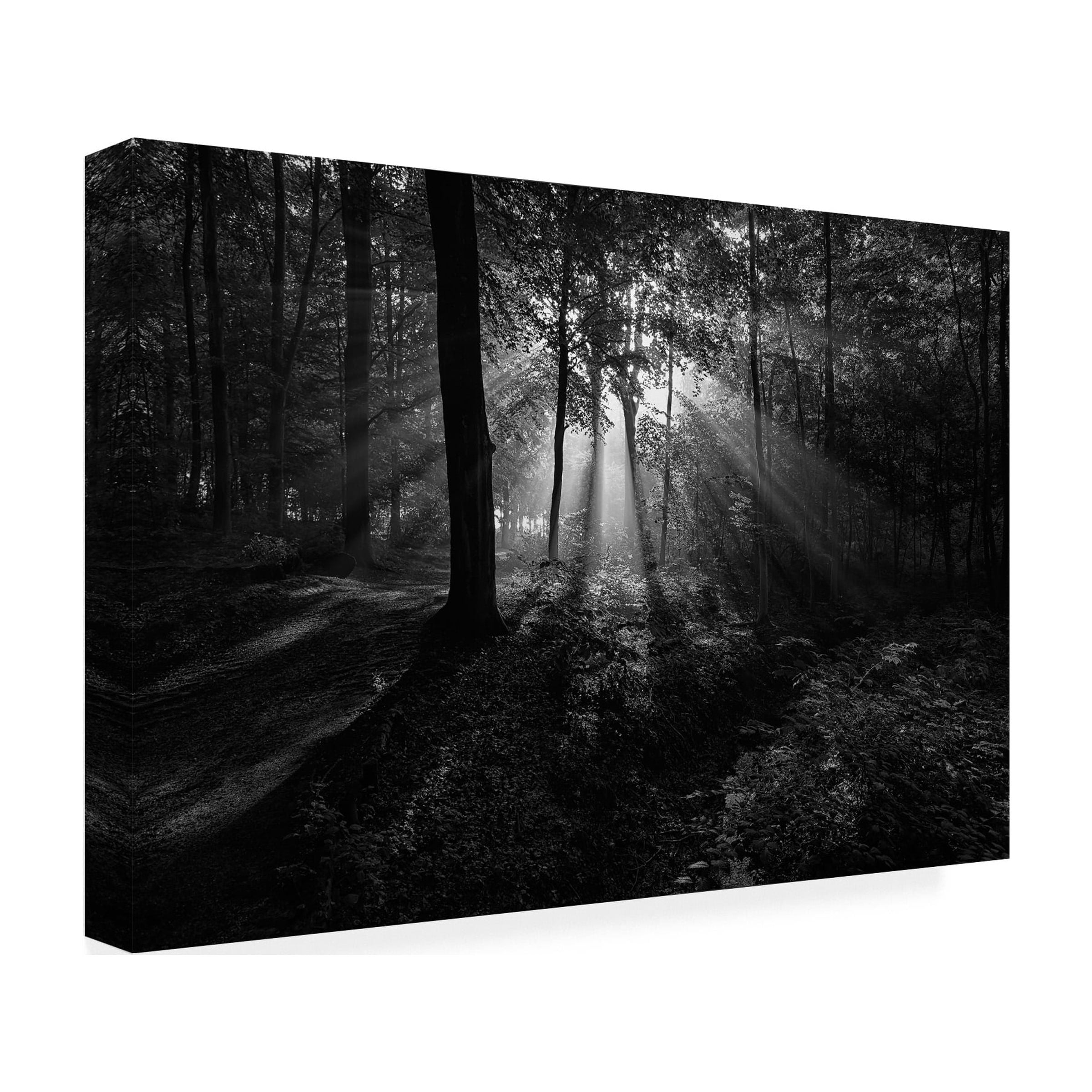 Leif Londal 'A Sunny Morning' Canvas Art