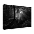 thumbnail image 4 of Leif Londal 'A Sunny Morning' Canvas Art, 4 of 4