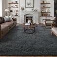 thumbnail image 1 of BERTHMEER 5'x8' Shag Area Rugs for Living Room,Fluffy Washable Rugs Plush Bedroom Modern Contemporary Soft Indoor Carpets Rugs, Gray, 1 of 1