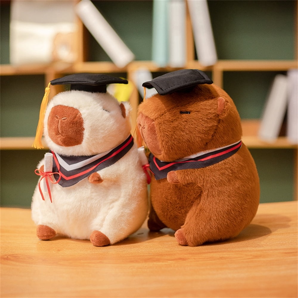 8.66" Dr. Capybara Plush Toy Adorable Fluffy Capybara Plush Toy, Hypoallergenic Gift for Medical Students, Doctors and Kids