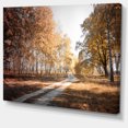 thumbnail image 2 of Straight Road in Fall Birch Grove - Modern Forest Canvas Art, 2 of 4
