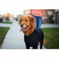 thumbnail image 4 of Couche de Base Extensible pour Chiens Moyens et Grands en Automne et Hiver, 4 of 5
