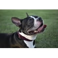 thumbnail image 2 of LAICAIW-Burgundy Martingale Heavy Duty Nylon Dog Collar (Small, 3/4 Inch Wide), 2 of 7