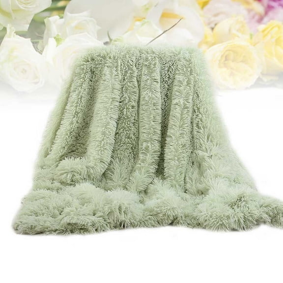 WORGEOUS Plush Throw Blanket Fleece Blanket Warm Bed Blanket in Solid Color 160x130cm(Mint Green)