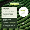 Ceremonial Grade Matcha Powder First Harvest Organic Japanese Matcha Green Tea Powder, From