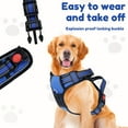 thumbnail image 4 of Threns Dog Harness No Pull Pet Harness Dog Vest Harness Reflective Pet Vest with Adjustable Buckle and Breathable Mesh, 4 of 7