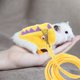 thumbnail image 4 of unbranded 1Jgo Correa Para Mascotas Con Arnés Y Antiescape En Color Amarillo Para Uso Diario, 4 of 8