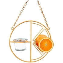 GIXUSIL Oriole Bird Feeder for Outdoors Jelly and Oranges, Orange Fruit Oriole Jelly Bird Feeder, Outdoor Garden Metal Hanging Drinking Grape Jelly Container Hummingbird Feeder