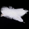 thumbnail image 2 of 20 x natural ostrich feather 25-30cm white decoration festivities, 2 of 5