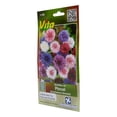 thumbnail image 2 of Pack De 2 Semillas Pincel Centaurea Variada Vita Vita 0.9Gr, 2 of 3
